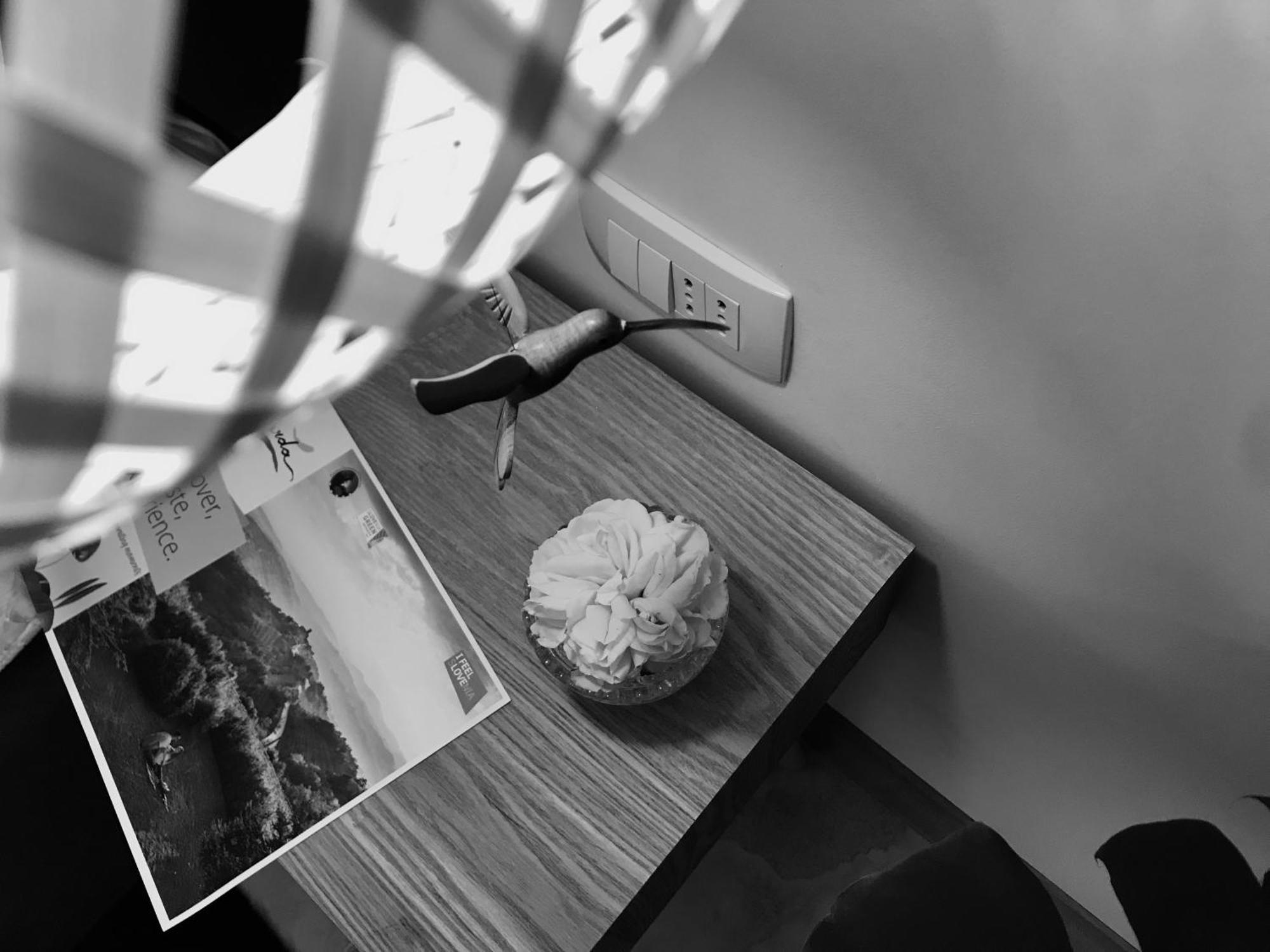Kojsko La Cubanita Bed & Breakfast エクステリア 写真